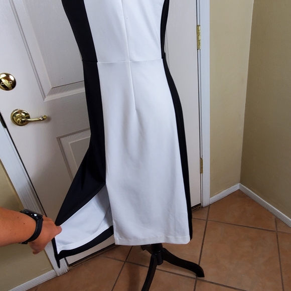 Alexia AdmorMarissa Two Tone Midi Dress - Picture 6 of 11